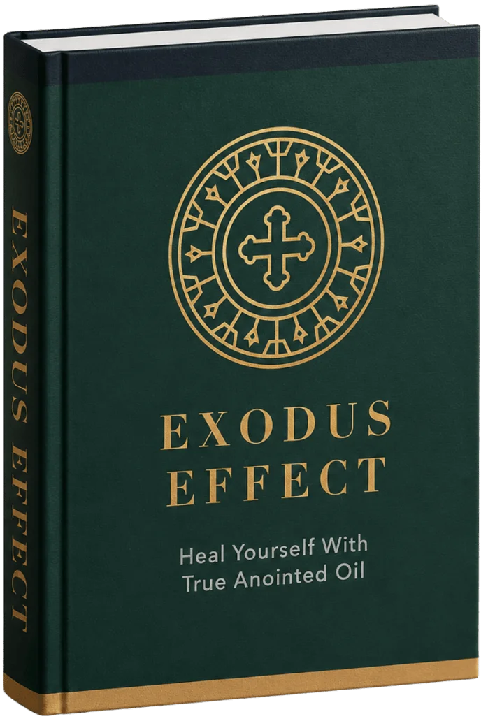 Exodus Effect Book and System